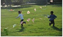 [喝彩征文]放风筝的孩子_1500字