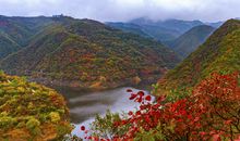 美如画的秋季_350字