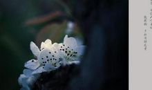 [寒假征文]事过境迁，奈，再回首故人还在_1500字