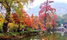 [寒假征文] 天平山许愿_1000字