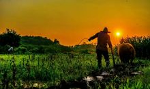 [寒假征文]故乡的守望_1200字