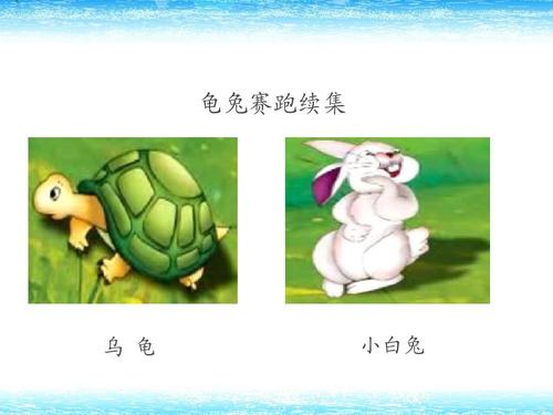 乌龟和兔子运行_450字