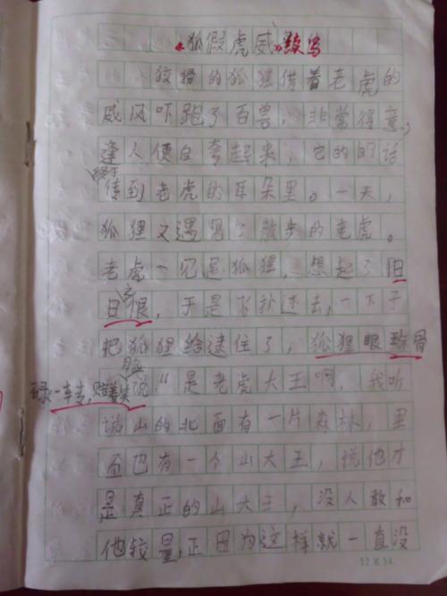 福克斯胡伟 - 续_600字