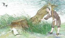 新守株待兔_350字