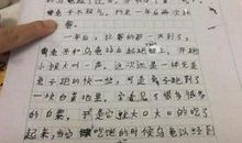 续写《龟兔赛跑》_450字