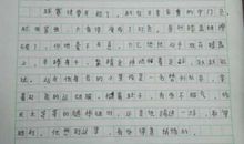 叛逆的我们！_500字