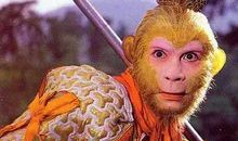 孙悟空大闹服装厂_800字