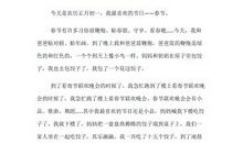 [寒假征文]春节随笔_900字