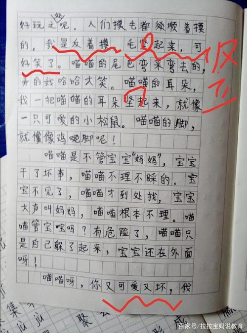 继续写“我的家人的小猫”_200字