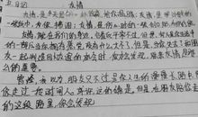 假如我是作家_450字