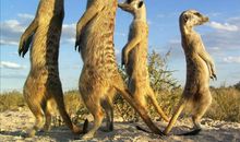 [喝彩征文]为自己站起来_800字