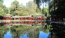 美丽的龙头河公园_600字