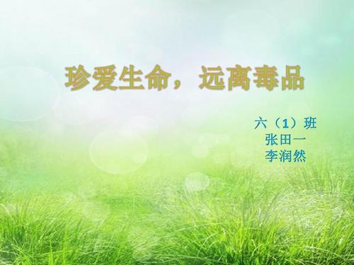 珍惜生活，远离毒品_1500字