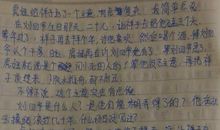 走留下的_800字