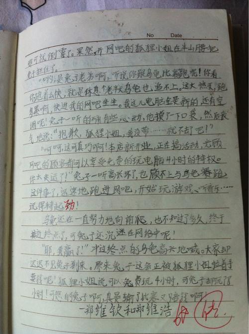 “乌龟愤怒赛车”持续_1000字