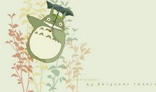 可爱的龙猫_400字