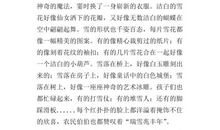 [发现征文]雪_400字