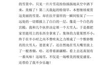 [寒假征文]年味拾零_800字