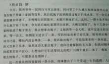 一年级日记：菜市场见闻_200字