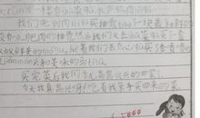 一年级日记：买菜记_250字