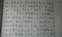 一年级日记：一个惊喜（二）_450字