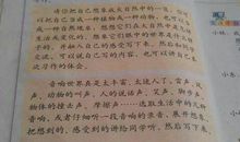 高一作文：抉择_900字