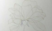 用笔，写出一朵花_700字