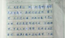 一年级日记：一只爱玩球的狗_100字