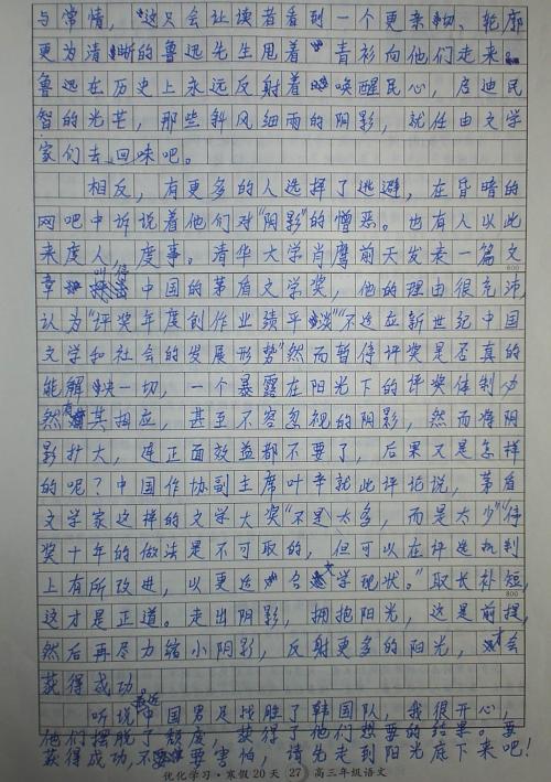 我的山寨_450字