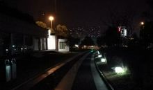 月的遐思_1500字