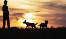 童年的夕阳_1000字