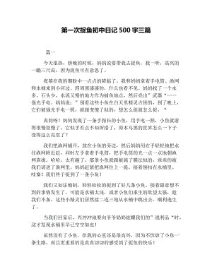 关于初中_500字