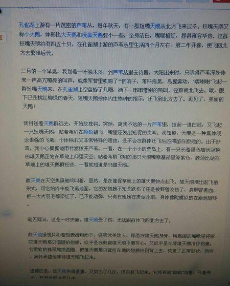 阅读后，“你正在阅读”阅读（9）_400字