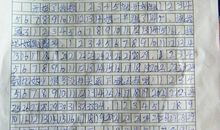 新来的小狗——小旺_300字