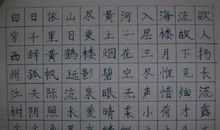我的伙伴_1500字