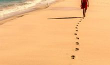 人生路上脚印深深_800字