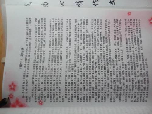我喜欢一个汉字_600字