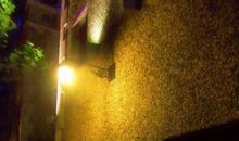 成长路途中的一盏明灯_800字