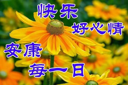 美丽的早晨_800字