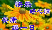 美丽的早晨_800字