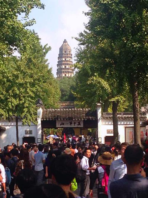 旅游老虎_450字