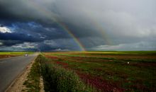 不经历风雨怎能见彩虹_900字