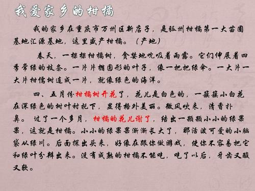 我的家乡 -  mikbe _800字