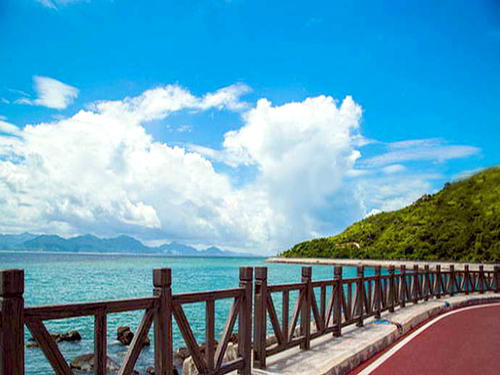 我的山在我的海上_500字