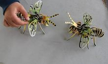 课余生活的日记：下象棋_150字