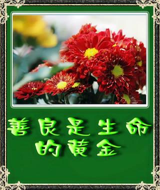 描述美丽的段落（2）