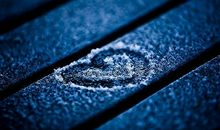 我渴望自由_900字