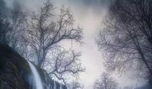 凡尘旅（六）一招之约_1200字