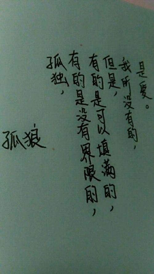 不是我的寂寞，但你的悲伤_900字