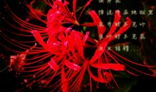 第一章 额....这是哪？_1200字